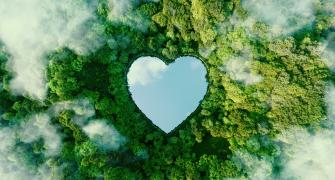 environment-green-field-heart